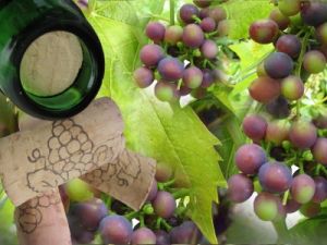 Wein2008_pixelio_joujou